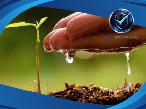 Sertifikasi ISO 14001